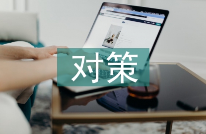 項目風險及對策分析