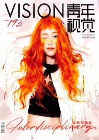 青年視覺雜志