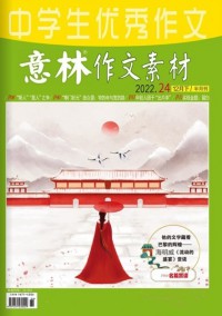 中學(xué)生優(yōu)秀作文雜志